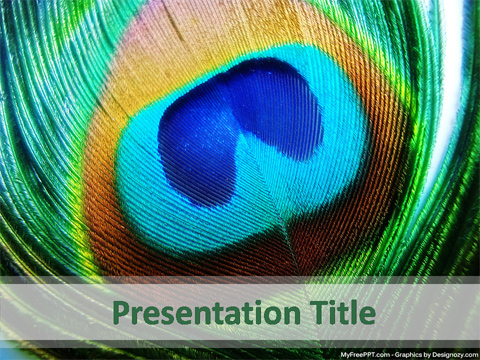 Peacock Feather PowerPoint Template