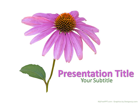 Nature Flower PowerPoint Template