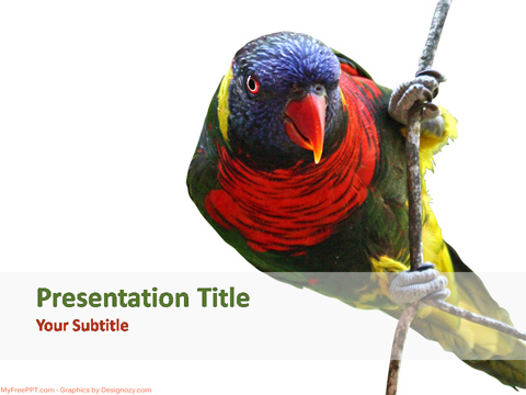 Parrot Bird PowerPoint Template