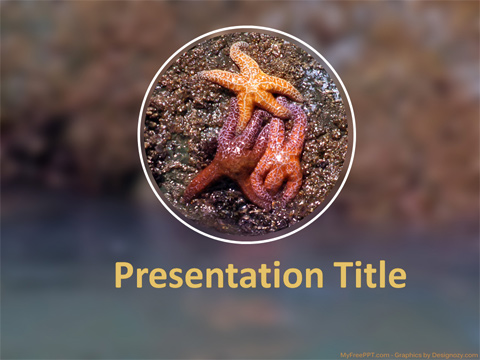 Star Fish PowerPoint Template