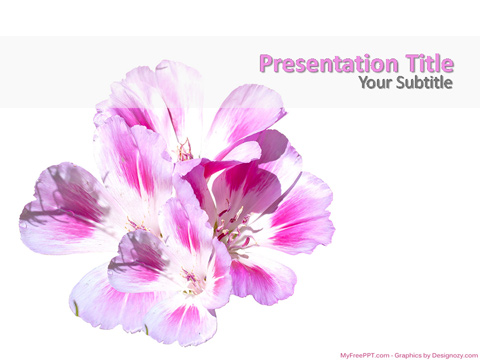 Beautiful Flowers PowerPoint Template