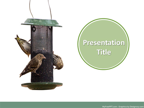 Bird Feeder PowerPoint Template