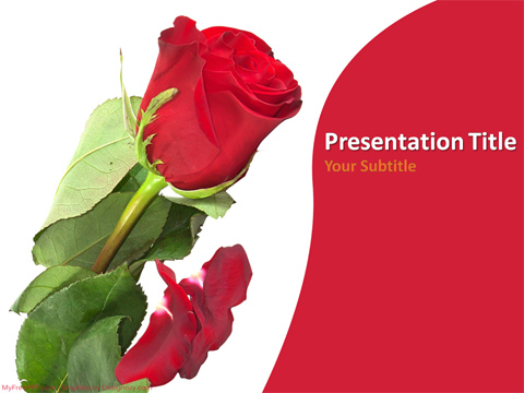 Red Rose PowerPoint Template