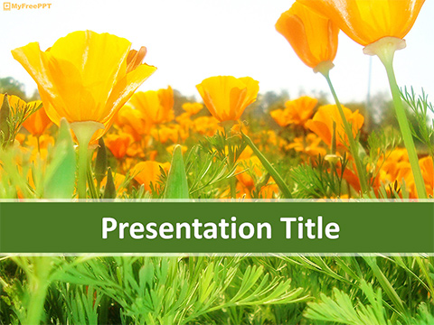 Natural Flowers PowerPoint Template