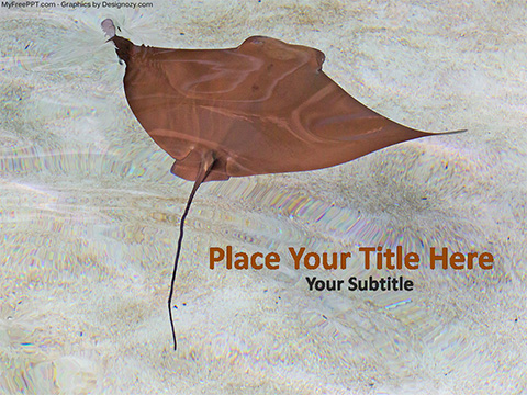 Stingray Mammal PowerPoint Template